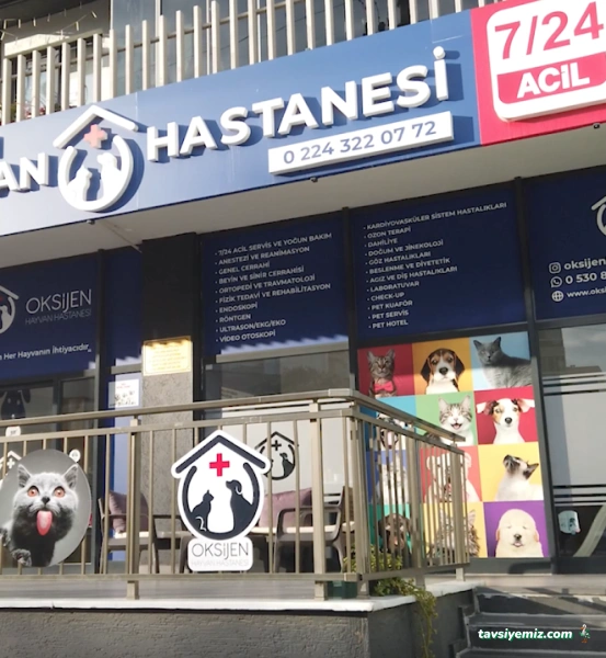 Oksijen Hayvan Hastanesi Oksijen Hayvan Hastanesi