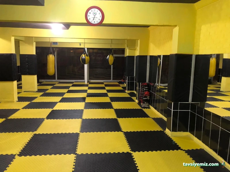 Ölmez Kick Boks Spor Kulübü Ölmez Kick Boks Spor Kulübü