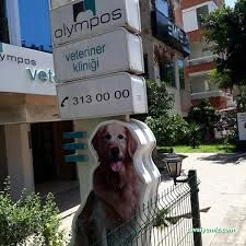 Olympos Vet Olympos Vet