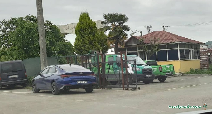 Ordu Hayvan Barınağı