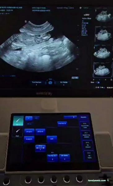Ortaca Güneybatı Veteriner Kliniği Ortaca Güneybatı Veteriner Kliniği