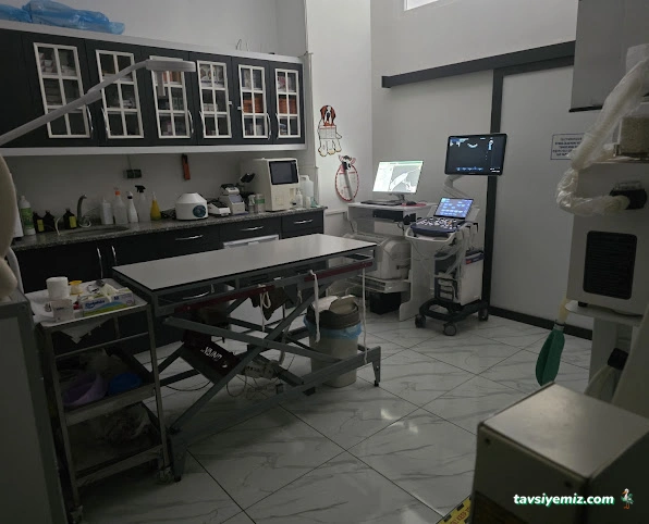 Ortaca Güneybatı Veteriner Kliniği Ortaca Güneybatı Veteriner Kliniği