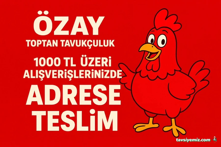 Özay Toptan Tavukçuluk