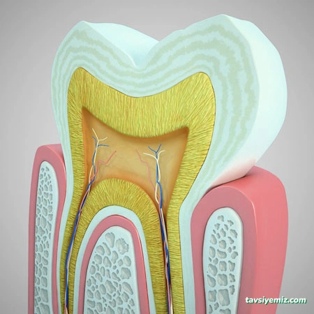Özel Gap Ağız Ve Diş Sağlığı Polikliniği Özel Gap Ağız Ve Diş Sağlığı Polikliniği