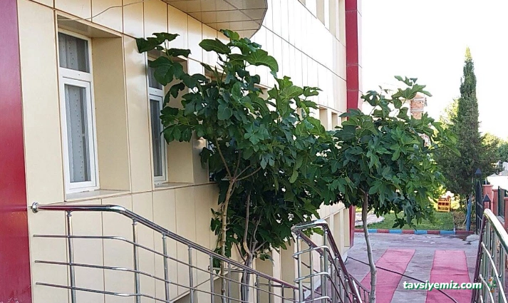 Özel Özkan Özel Eğitim Ve Rehabilitasyon Merkezi