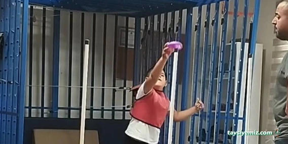 Özel Şanlıurfa Özel Eğitim Ve Rehabilitasyon