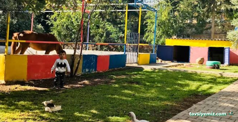 Özel Şanlıurfa Özel Eğitim Ve Rehabilitasyon