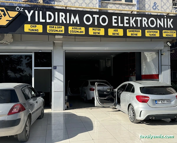 Özyıldırım Oto Elektronik Özyıldırım Oto Elektronik