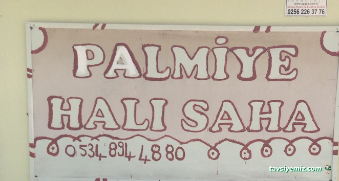 Palmiye Halı Saha Palmiye Halı Saha