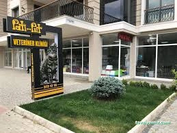 Patipet Veteriner Kliniği Patipet Veteriner Kliniği