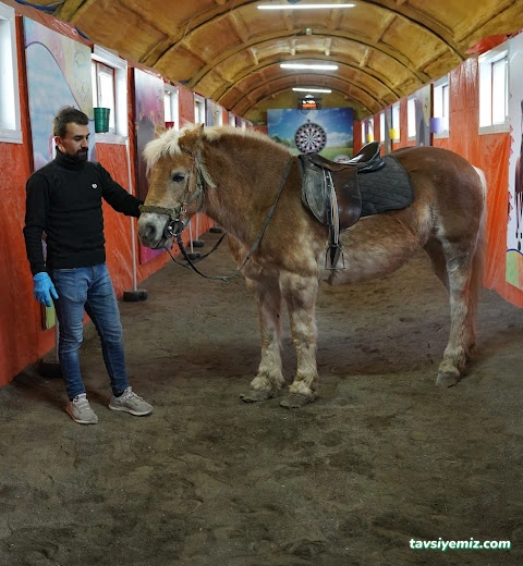 Paylaşım Özel Eğitim Ve Rehabilitasyon Merkezi & Floortime & Duyu Bütünleme Merkezi Paylaşım Özel Eğitim Ve Rehabilitasyon Merkezi & Floortime & Duyu Bütünleme Merkezi