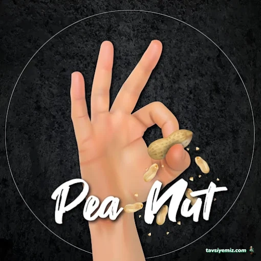 Pea-Nut Cafe Bar Pea-Nut Cafe Bar