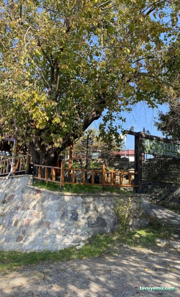 Pelitdibi Cafe&Restoran Pelitdibi Cafe&Restoran
