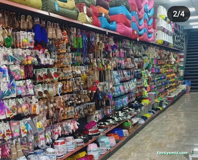 Pet City Petshop Pet City Petshop