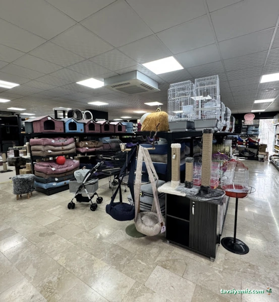 Pet Gross Alacaatlı Pet Gross Alacaatlı