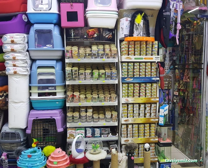 Pet House Tunalı Hilmi - Pet Shop Tunalı Hilmi Pet House Tunalı Hilmi - Pet Shop Tunalı Hilmi