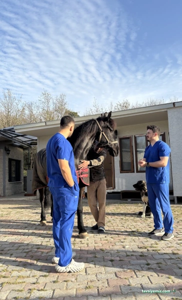 Pet İv Veteriner Kliniği 7/24 Acil Veteriner Bahçeşehir-Ispartakule Pet İv Veteriner Kliniği 7/24 Acil Veteriner Bahçeşehir-Ispartakule