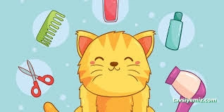 Pet Kuaför | Petzzkuaför Kedi Köpek Kuaförü Pet Kuaför | Petzzkuaför Kedi Köpek Kuaförü