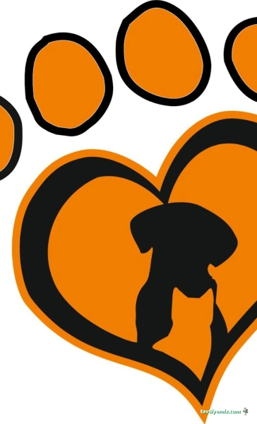 Pet Love Veteriner Kliniği Pet Love Veteriner Kliniği
