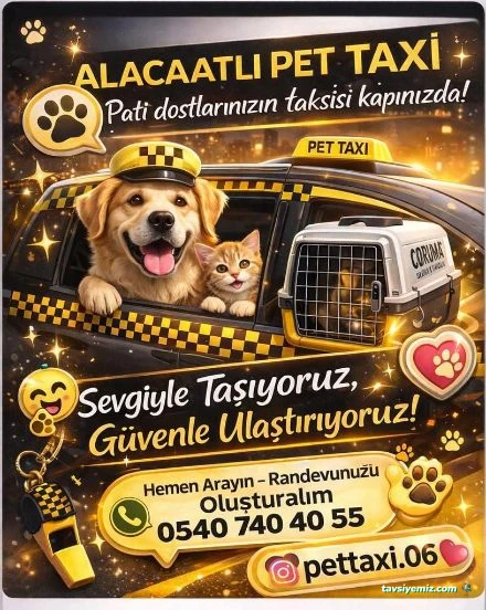 Pet Taxi Nakil