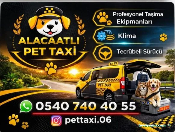 Pet Taxi Nakil