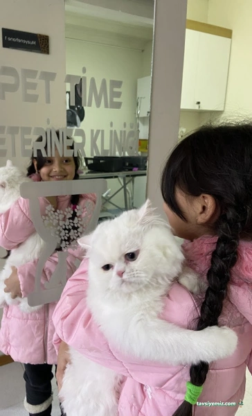 Pet Time Veteriner Kliniği Pet Time Veteriner Kliniği