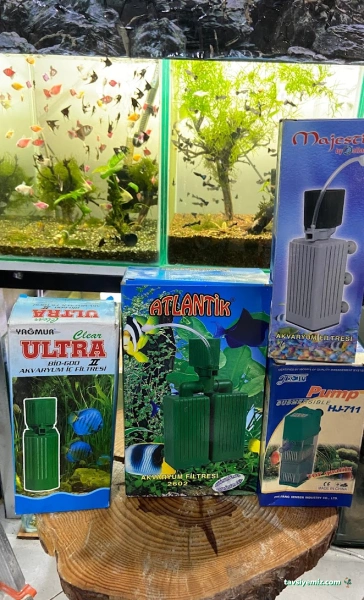 Pet48 - Petshop Marmaris Pet48 - Petshop Marmaris