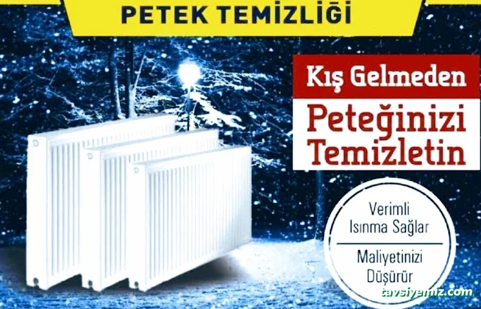 Petek@Baca Temizleme Petek@Baca Temizleme