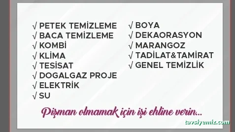Petek@Baca Temizleme Petek@Baca Temizleme