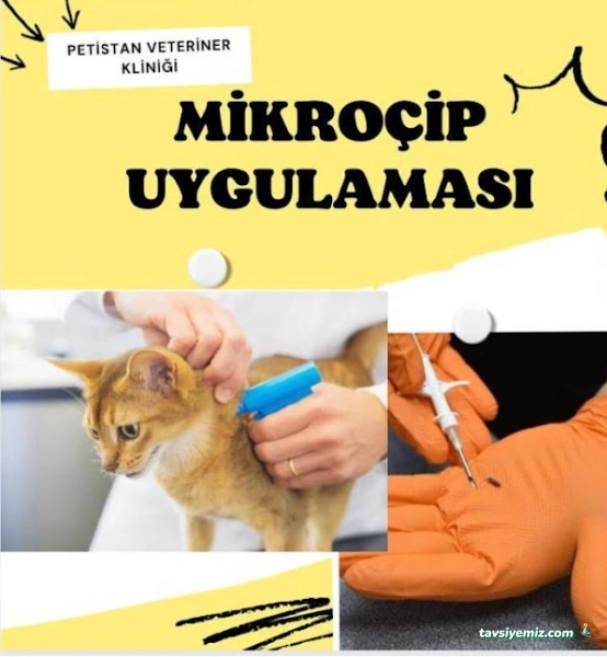 Petistan Veteriner Kliniği