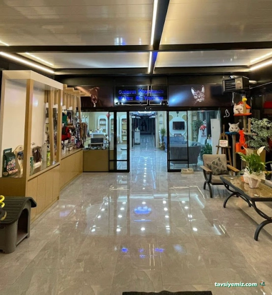 Petland Veteriner Kliniği Petland Veteriner Kliniği