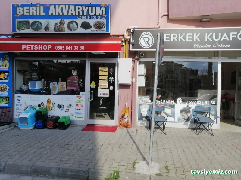 Petshop Beril Akvaryum Petshop Beril Akvaryum