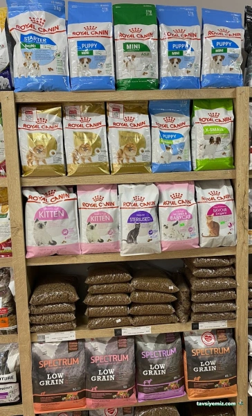 Petshop Jojo
