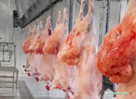 Piar Grup Kuyumculyk İnşaat Yatırım A.ş