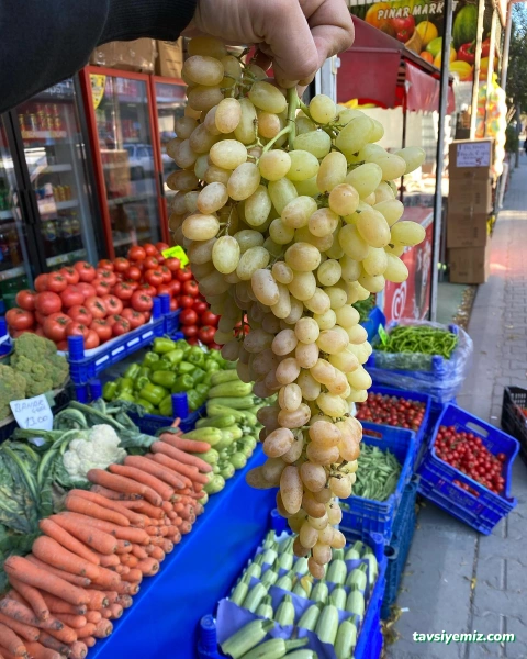 Pınar Market Pınar Market