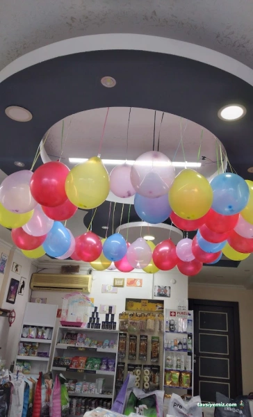 Pıtırcık Pet Shop Pıtırcık Pet Shop