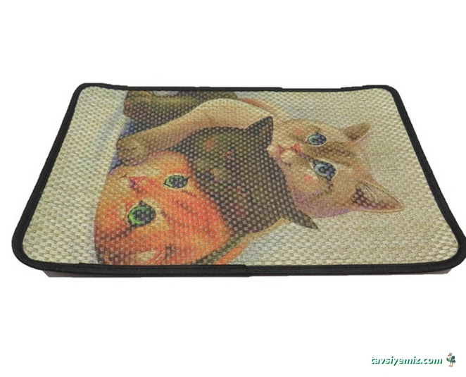 Pıtırcık Pet Shop Pıtırcık Pet Shop