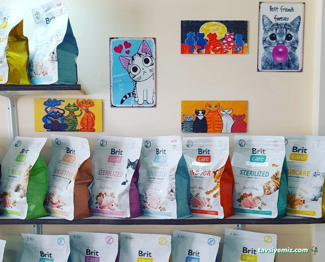Pıtırcık Pet Shop Pıtırcık Pet Shop
