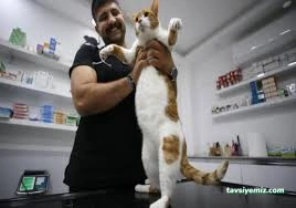 Podo Vet Veteriner Kliniği Podo Vet Veteriner Kliniği