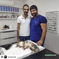 Podo Vet Veteriner Kliniği Podo Vet Veteriner Kliniği