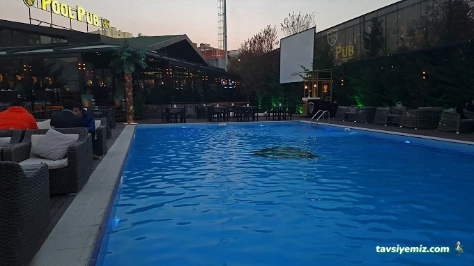 Pool Pub Pool Pub