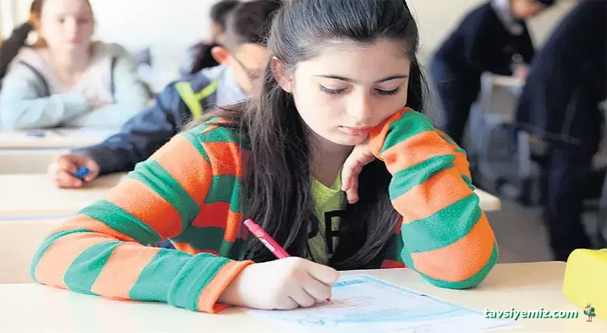 Profesör Eğitim Danışmanlığı