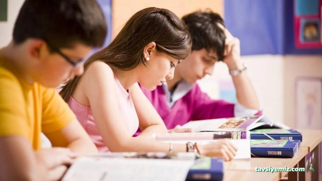 Profesör Eğitim Danışmanlığı