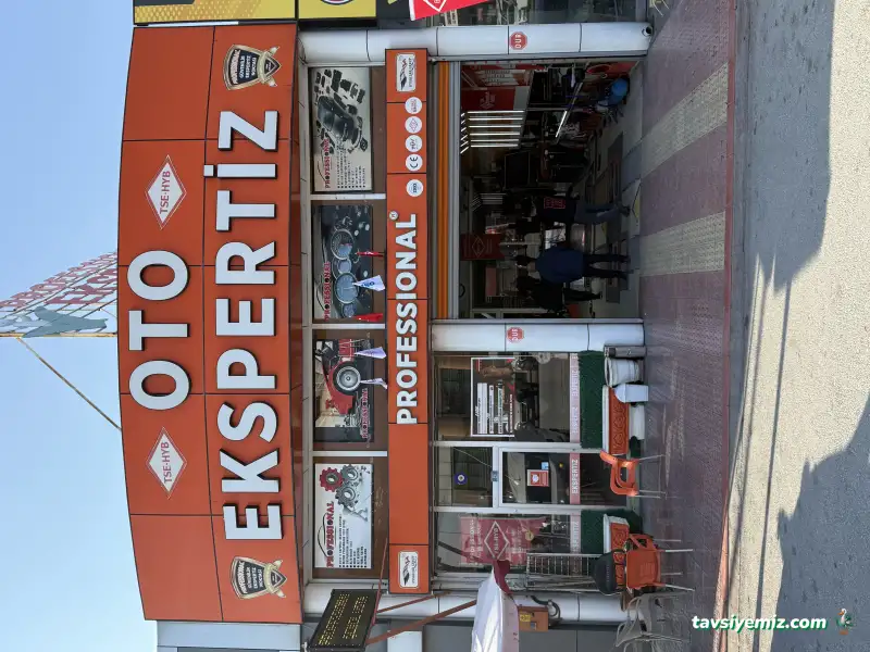 Professıonal Oto Ekspertiz Konya Şenel Usta