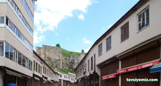 Pürmüslü Sobacılık Pürmüslü Sobacılık