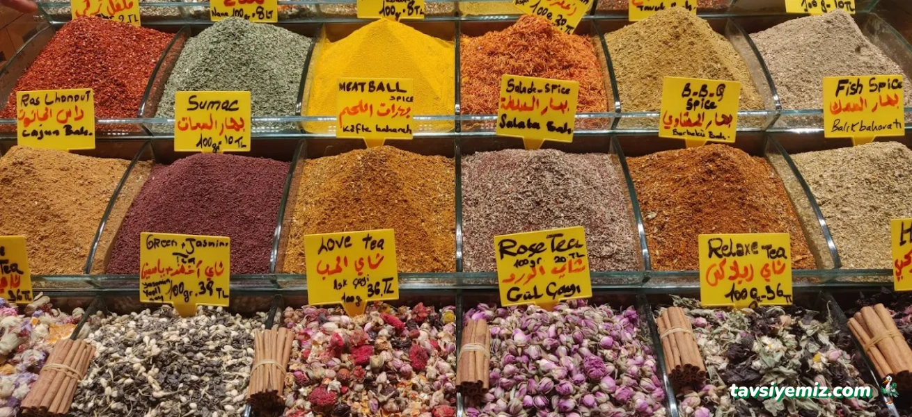 Rainbow Akvaryum Rainbow Akvaryum
