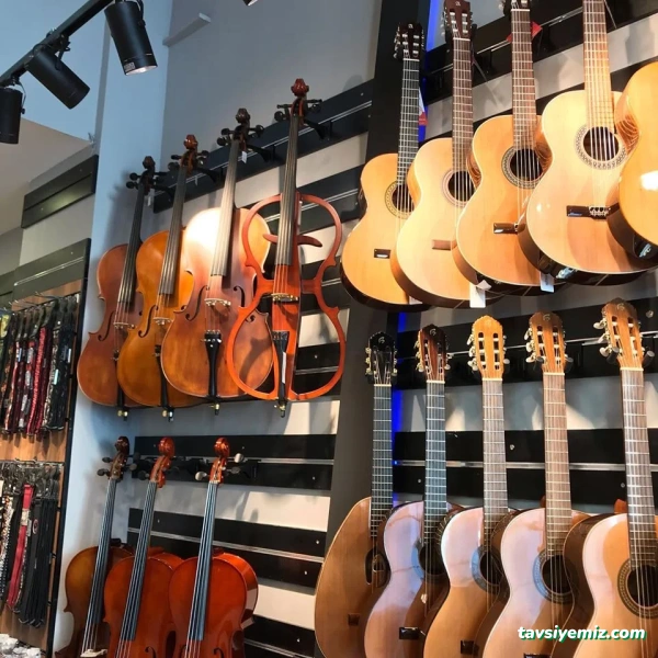 Rekor Müzik Nilüfer Rekor Müzik Nilüfer