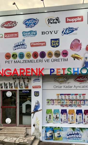 Rengarenk Pet Malzemeleri Rengarenk Pet Malzemeleri