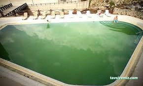 Rize Ridos Thermal Hotel & Spa Rize Ridos Thermal Hotel & Spa