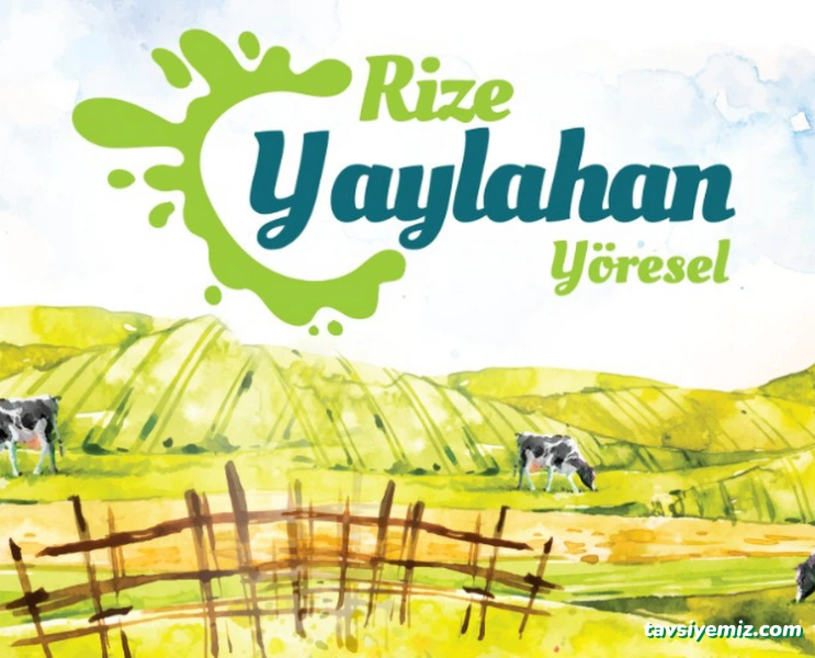 Rize Yaylahan Yöresel Toptan Gıda Dağıtım Ve Pazarlama Rize Yaylahan Yöresel Toptan Gıda Dağıtım Ve Pazarlama
